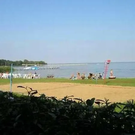 Mauersegler Im Mueritz Seepark
